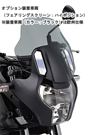 aprilia/PEGASO 650 STRADA M[摜 5