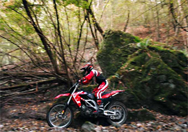 aprilia/RXV 450@M[摜3