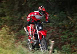 aprilia/RXV 450@M[摜5