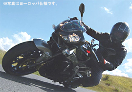 aprilia/TUONO 1000R '07 M[摜2