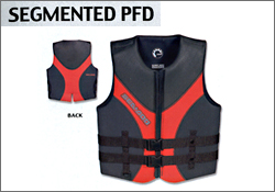 SEGMENTED PFD