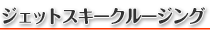 ジェットスキークルージング